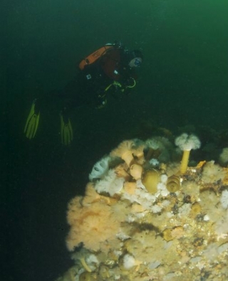  和令人惊叹的景点